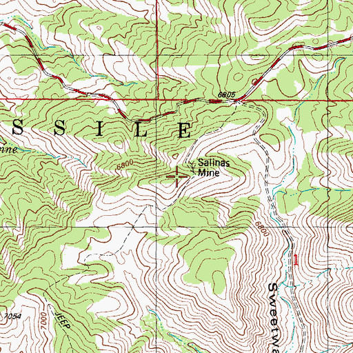 Topographic Map of Salines Mine, NM