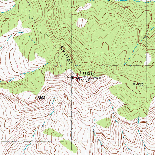 Topographic Map of Skillet Knob, NM