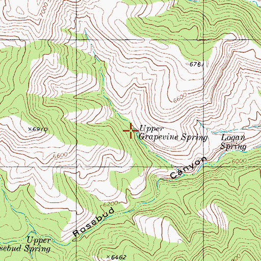 Topographic Map of Upper Grapevine Spring, NM