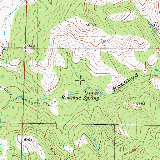 Topographic Map of Upper Rosebud Spring, NM