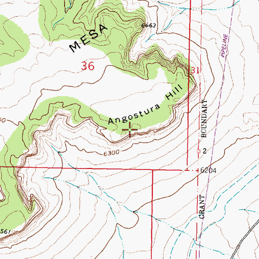 Topographic Map of Angostura Hill, NM