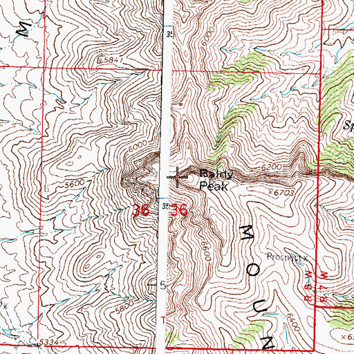Topographic Map of Baldy Peak, NM