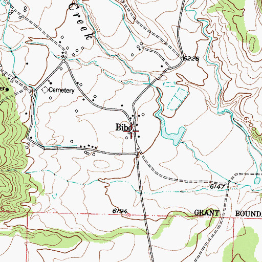 Topographic Map of Bibo, NM