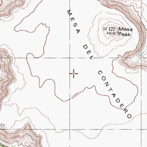 Topographic Map of Mesa del Contadero, NM