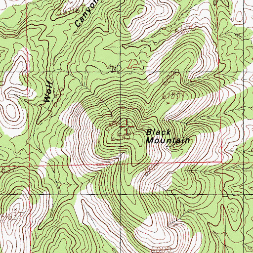 Topographic Map of Black Mountain, NM
