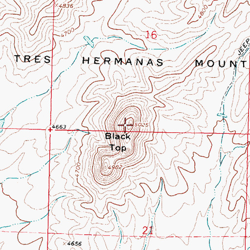 Topographic Map of Black Top, NM