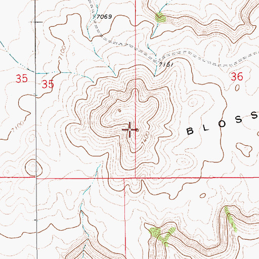Topographic Map of Blosser Mesa, NM