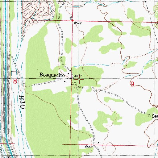 Topographic Map of Bosquecito, NM