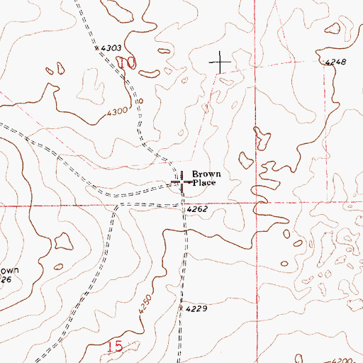 Topographic Map of Brown Place, NM