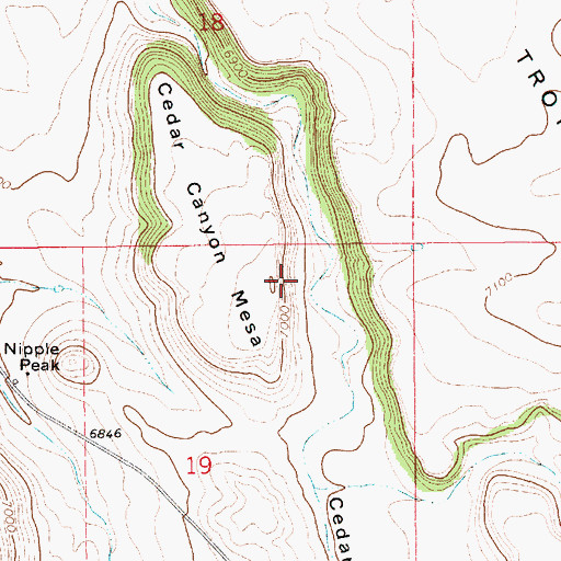 Topographic Map of Cedar Canyon Mesa, NM