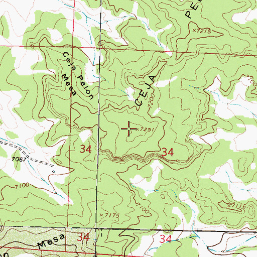 Topographic Map of Ceja Pelon Mesa, NM