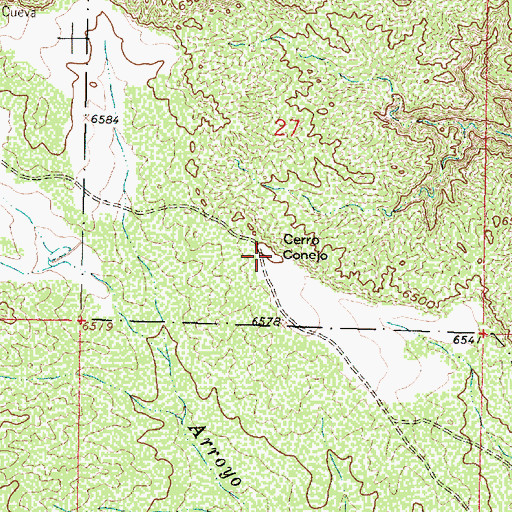 Topographic Map of Cerro Conejo, NM