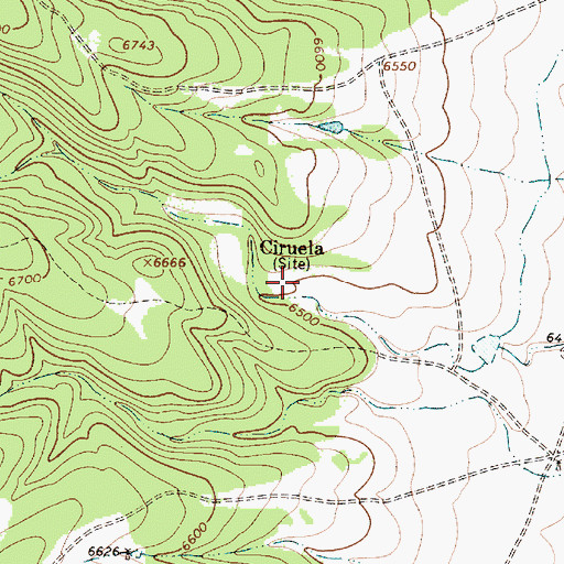 Topographic Map of Ciruela, NM