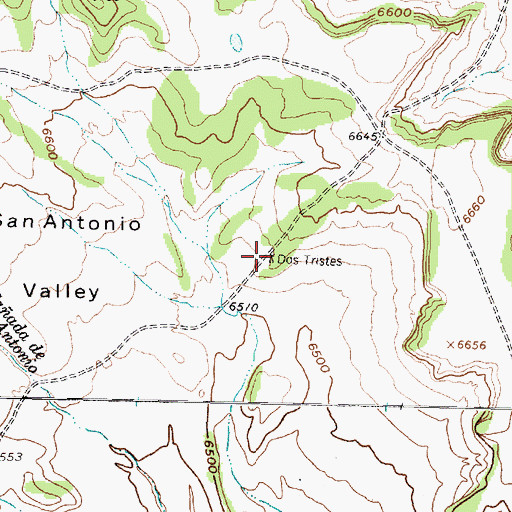 Topographic Map of Dos Tristes, NM