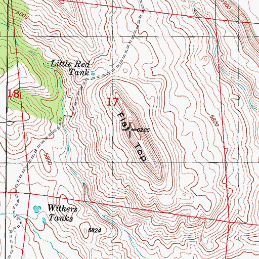 Topographic Map of Flat Top, NM