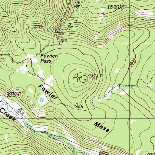 Topographic Map of Fowler Mesa, NM