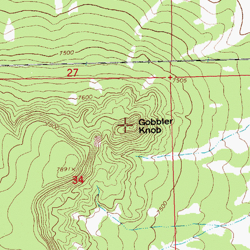 Topographic Map of Gobbler Knob, NM