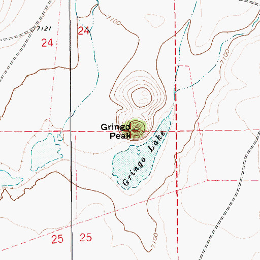 Topographic Map of Gringo Peak, NM