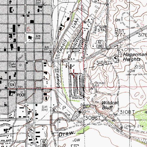 Topographic Map of Hagerman Heights, NM