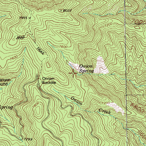 Topographic Map of Onion Spring, AZ