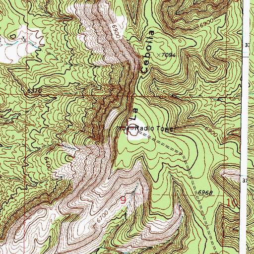 Topographic Map of La Cebolla, NM