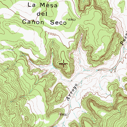 Topographic Map of La Mesa del Caon Seco, NM