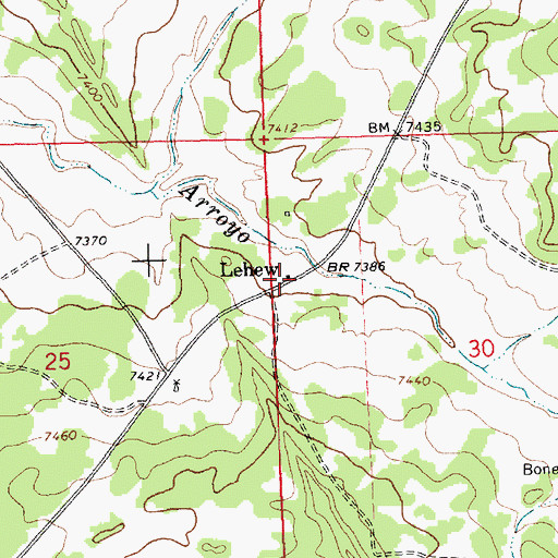 Topographic Map of Lehew, NM