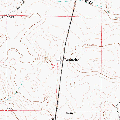 Topographic Map of Leoncito, NM