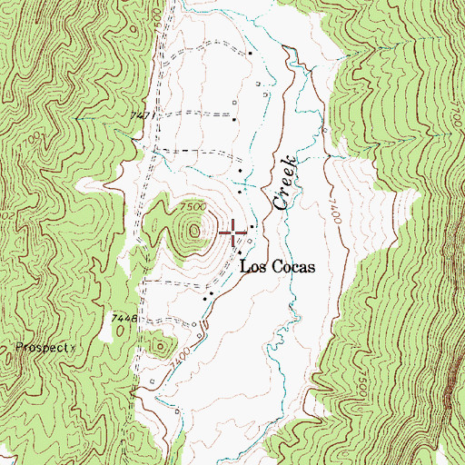 Topographic Map of Los Cocas, NM