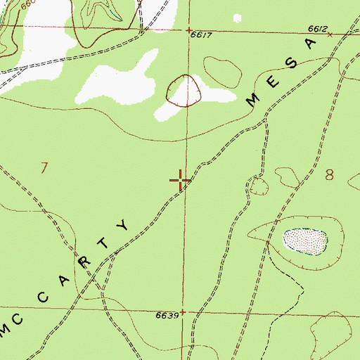Topographic Map of McCarty Mesa, NM