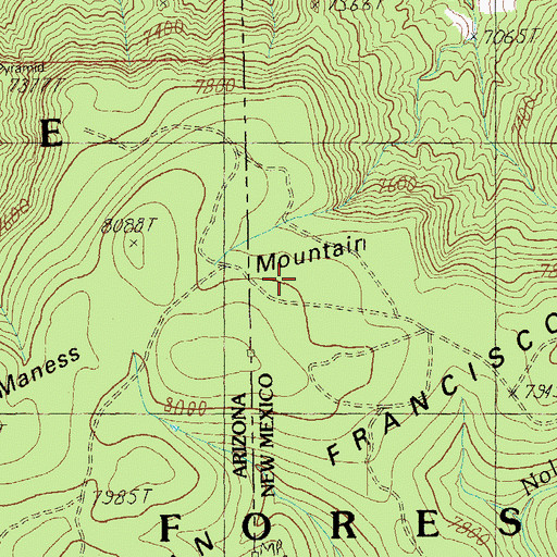 Topographic Map of Maness Mountain, NM