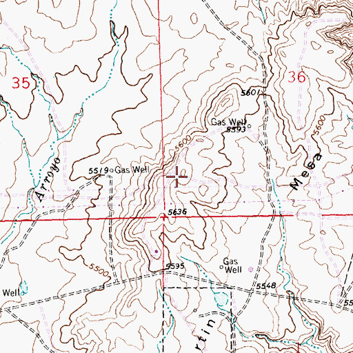 Topographic Map of Martin Mesa, NM