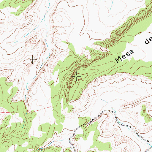 Topographic Map of Mesa de los Toros, NM