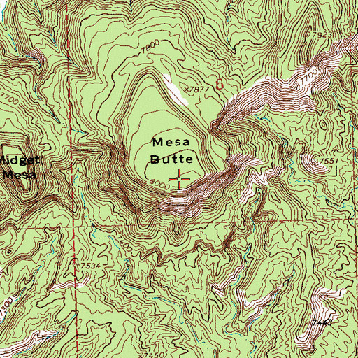 Topographic Map of Mesa Butte, NM