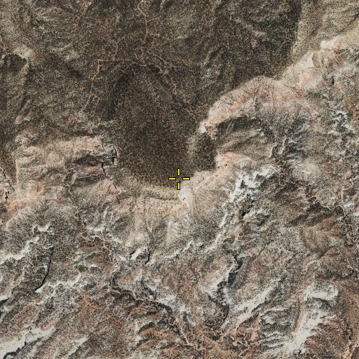 Aerial/Satellite Image of Mesa Butte, NM