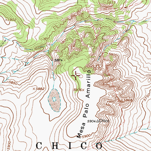 Topographic Map of Mesa Palo Amarillo, NM