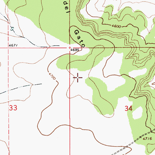 Topographic Map of Mesita del Gato, NM