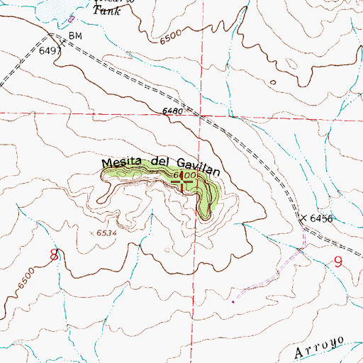 Topographic Map of Mesita del Gavilan, NM