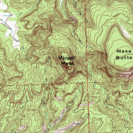 Topographic Map of Midget Mesa, NM
