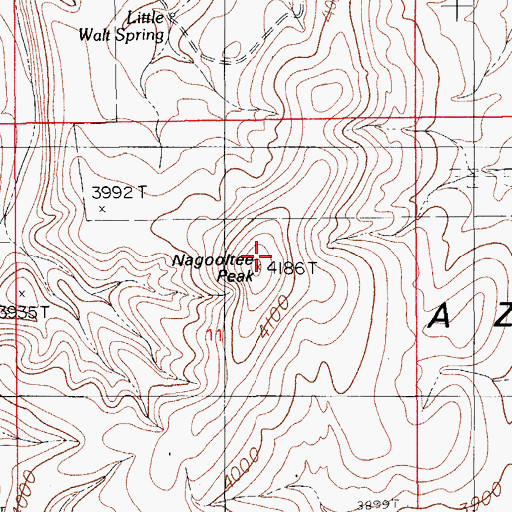 Topographic Map of Nagooltee Peak, NM