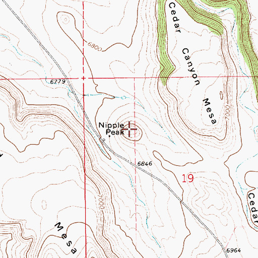 Topographic Map of Nipple Peak, NM