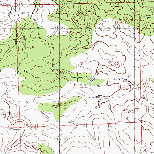 Topographic Map of Old Isaacs Place, NM