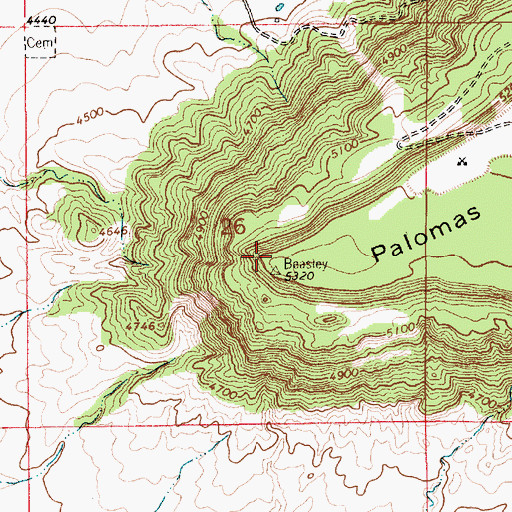 Topographic Map of Palomas Mesa, NM
