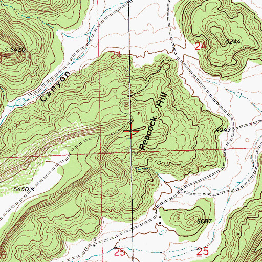 Topographic Map of Peacock Hill, NM