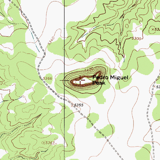 Topographic Map of Pedro Miguel Peak, NM