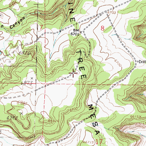 Topographic Map of Pine Tree Mesa, NM