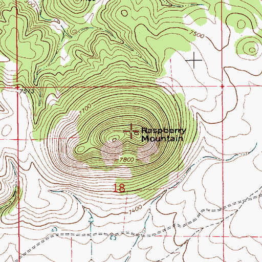 Topographic Map of Raspberry Mountain, NM