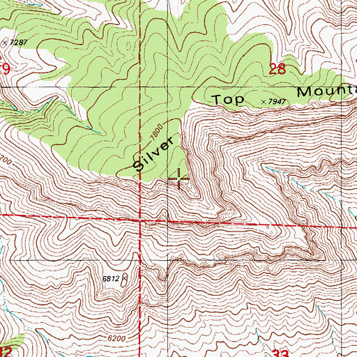 Topographic Map of Silver Top Mountain, NM