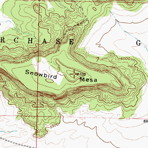 Topographic Map of Snowbird Mesa, NM