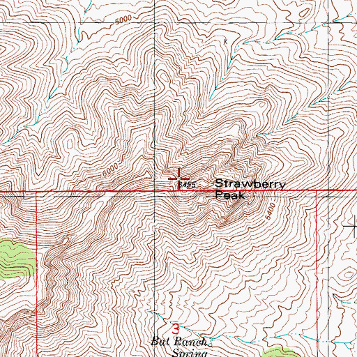 Topographic Map of Strawberry Peak, NM